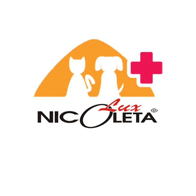 index.html